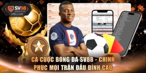 Bóng Đá