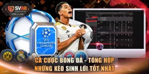 Cá Cược Bóng Đá