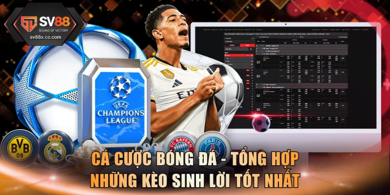 Cá Cược Bóng Đá