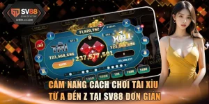 Cách Chơi Tài Xỉu