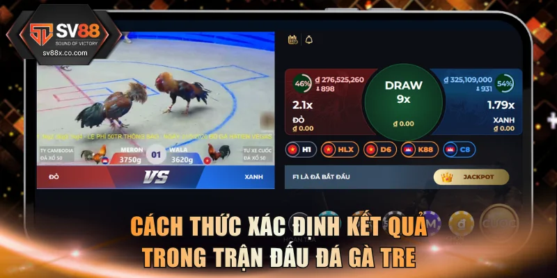 Cách thức xác định kết quả trong trận đấu đá gà tre