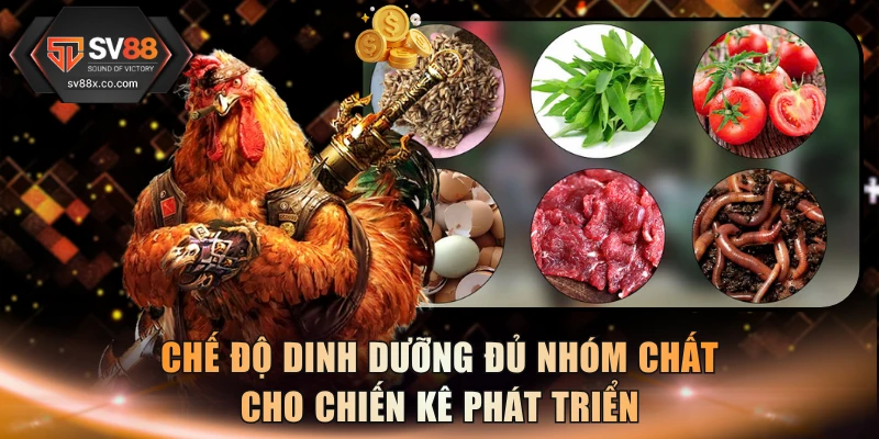 Chế độ dinh dưỡng đủ nhóm chất cho chiến kê phát triển
