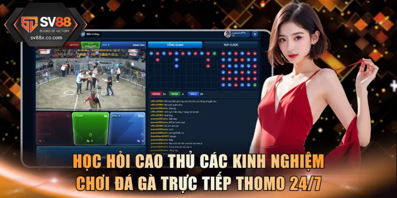 Học hỏi cao thủ các kinh nghiệm chơi đá gà trực tiếp thomo 24/7