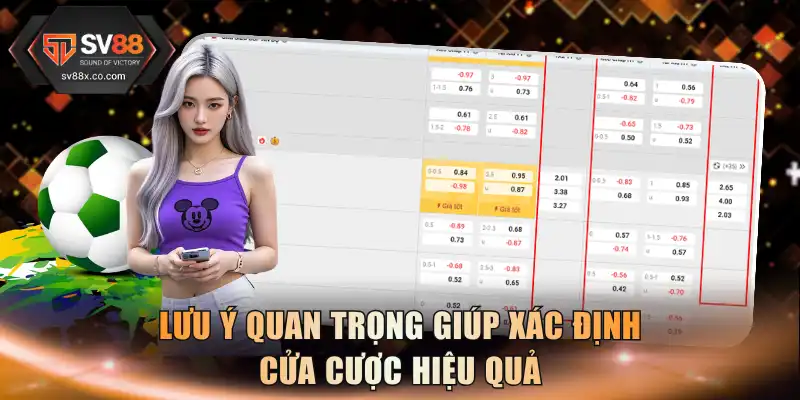 Lưu ý quan trọng giúp xác định cửa cược hiệu quả