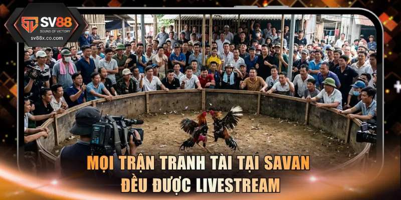 Mọi trận tranh tài tại Savan đều được livestream