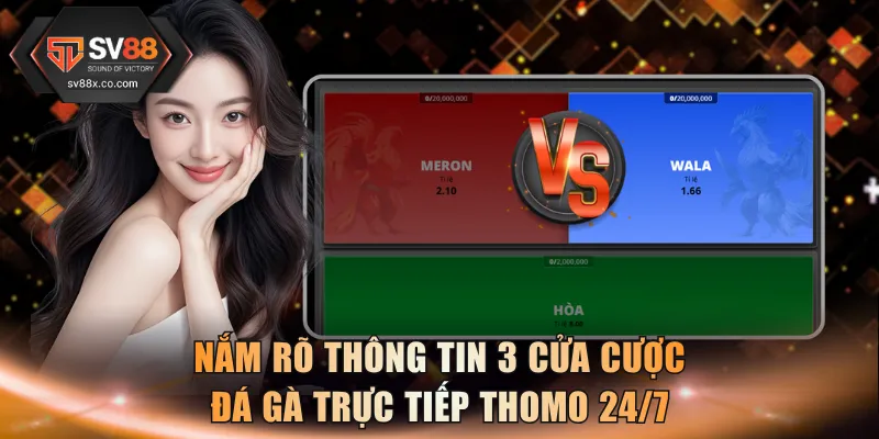 Nắm rõ thông tin 3 cửa cược đá gà trực tiếp thomo 24/7