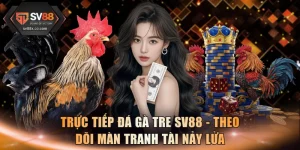 Trực Tiếp Đá Gà Tre