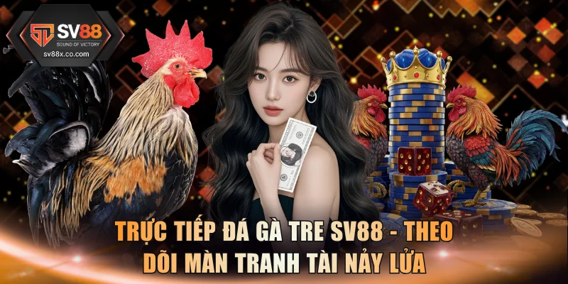 Trực Tiếp Đá Gà Tre