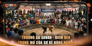 Trường Gà Savan