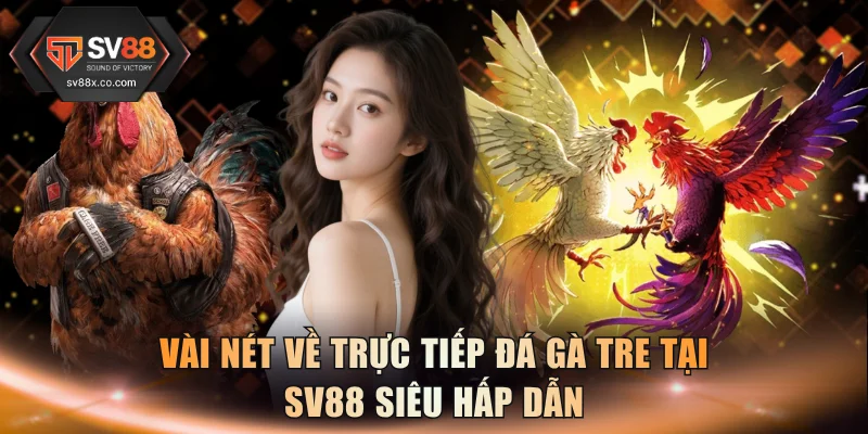 Vài nét về trực tiếp đá gà tre tại SV88 siêu hấp dẫn